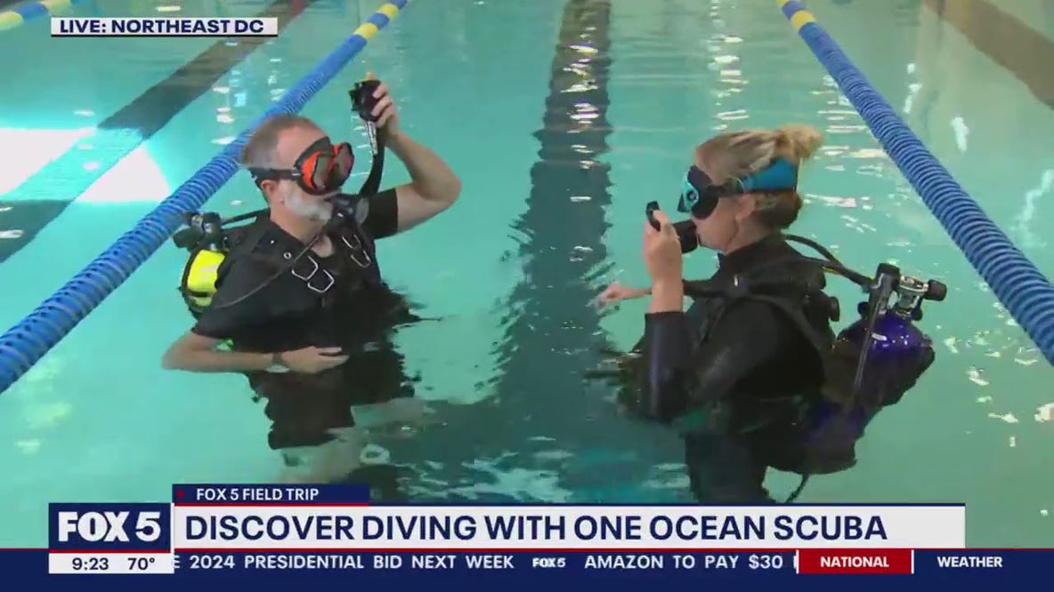 Underwater fun with One Ocean Scuba